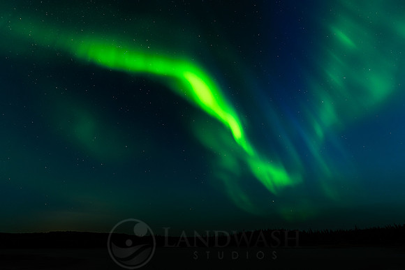 Prosperous Aurora