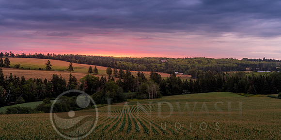 New Glasgow Morning